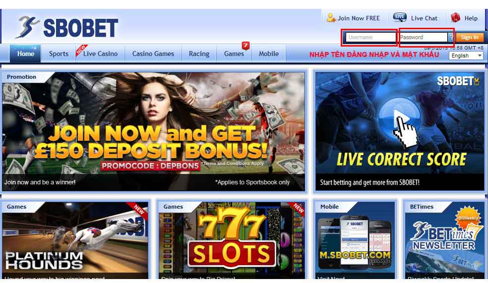 Hướng dẫn sử dụng các tính năng trong Sbobet 1